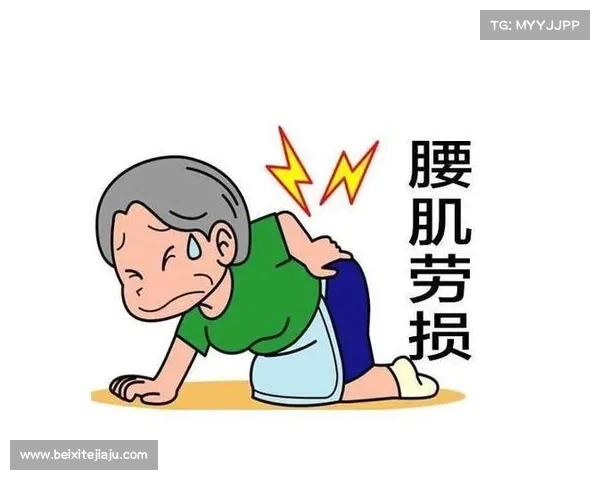 腰部组织在人体健康中的重要性与现代医学研究的进展分析